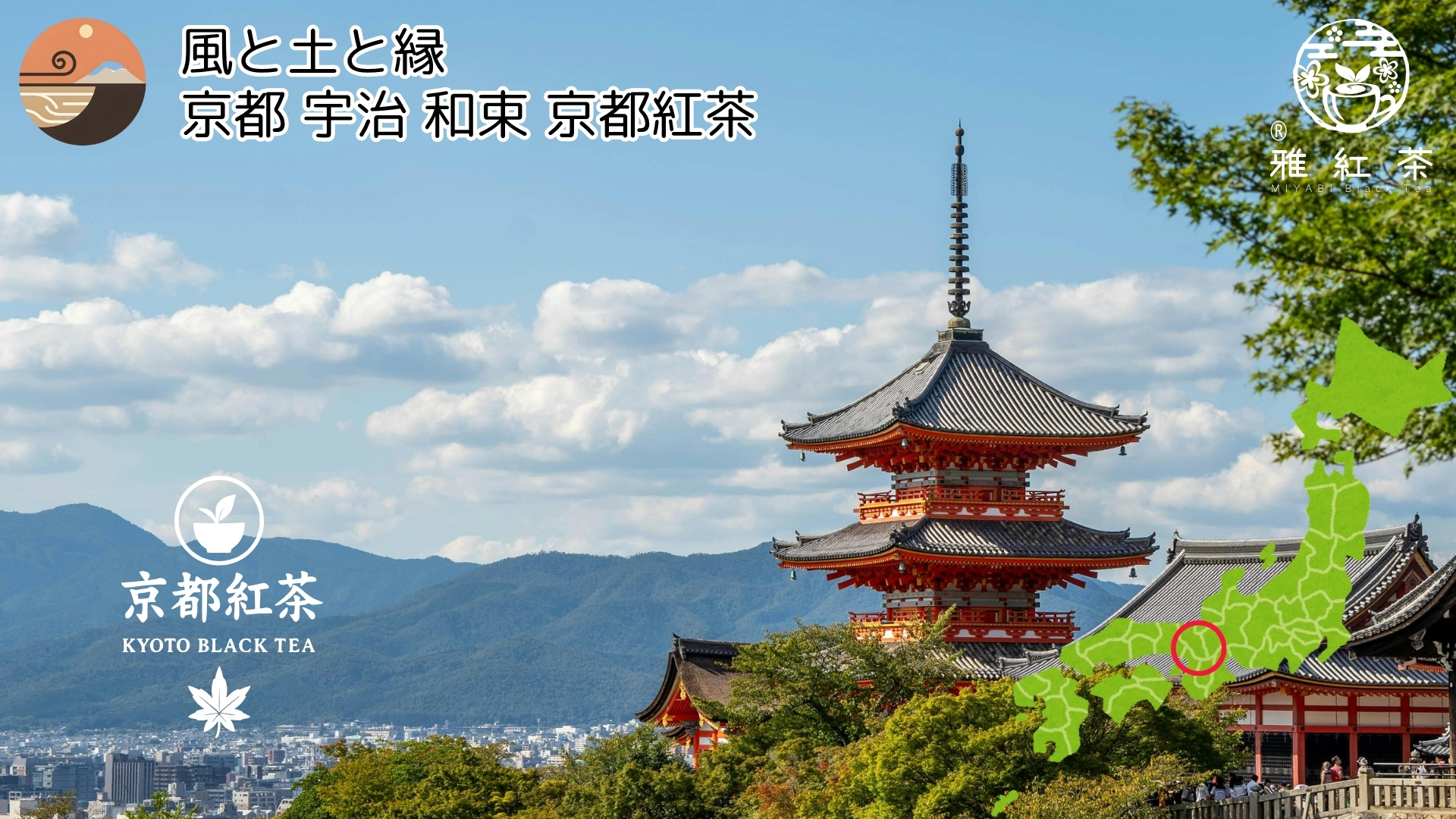 【風と土と縁】京都 宇治 和束 京都紅茶