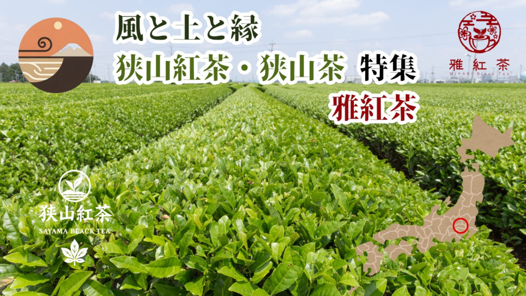 狭山紅茶・狭山茶 ─ 雅紅茶が届ける、埼玉・狭山の和紅茶特集